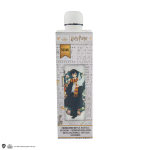 Insulated bottle - Harry Potter portrait - Harry Potter