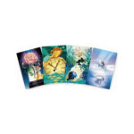 Dixit Disney