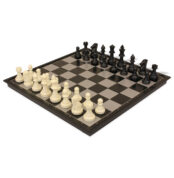 Magnetic Small Size Chess & Checkers