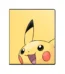 PKM Pikachu 9-Pkt Portfolio