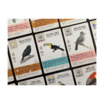 Wingspan: Americas Expansion - Slika 2