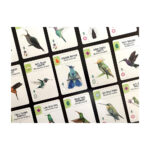 Wingspan: Americas Expansion - Slika 3